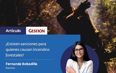 ¿Existen sanciones para quienes causan incendios forestales?